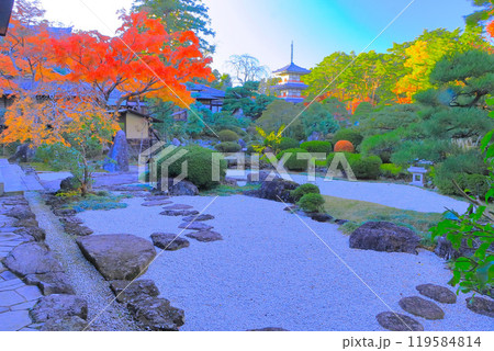 鮮やかな紅葉と輪王寺石庭 鮮やかな紅葉と輪王寺石庭 119584814