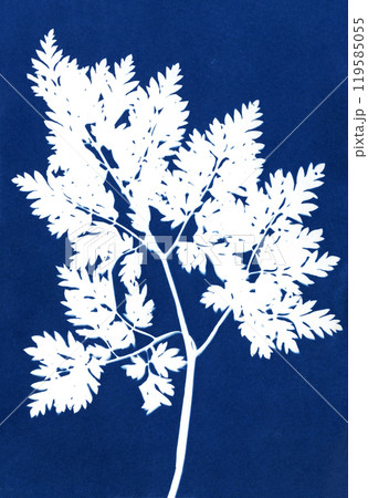 Plant silhouette. Floral illustration in minimalist style. Cyanotype. Plant silhouette. Floral illustration in minimalist style. Cyanotype. 119585055