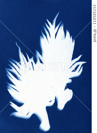 Plant skeleton. Plant silhouette. Silhouettes of plant on a blue background. Unique hand-printed monotypes in Prussian blue. 119585153