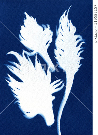 Botanical motifs. Illustration of plants and flowers. Unique cyanotype. Botanical motifs. Illustration of plants and flowers. Unique cyanotype. 119585157