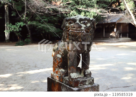 福岡県糸島市:桜井神社の狛犬 119585319