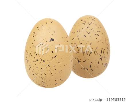 Chicken egg in dots for easter isolated on the white background 119585515