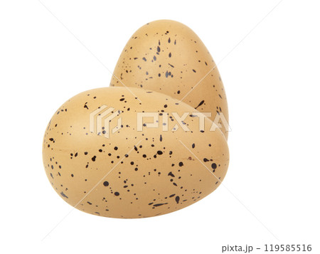 Chicken egg in dots for easter isolated on the white background 119585516