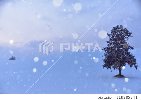 降雪 美瑛の丘 降雪 美瑛の丘 119585541
