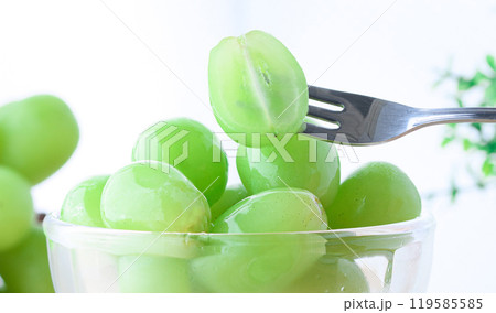 窓辺のシャインマスカット （ カットイメージ ） 119585585