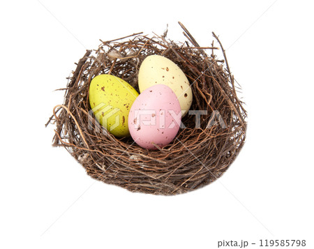 Colorful eggs in wooden bird nest isolated on the white background 119585798