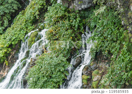 【美瑛町白ひげの滝】 119585935