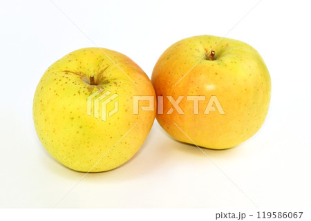 りんご（トキ） 119586067