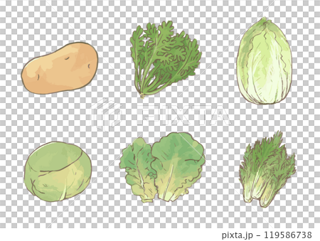 野菜アイコンイラストセット手描き＿じゃがいも・春菊・白菜・きゃべつ・サンチュ・水菜＿白バック 119586738