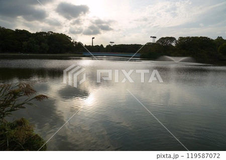 曇り空の池の風景 曇り空の池の風景 119587072