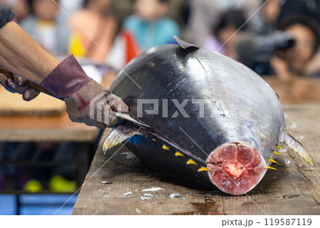 マグロの解体 119587119