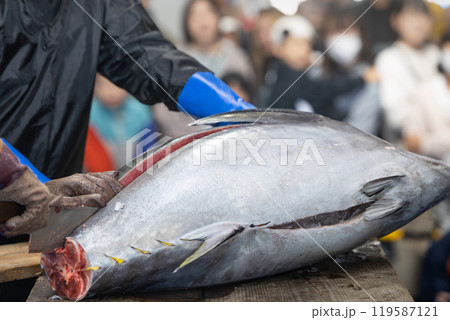 マグロの解体 119587121
