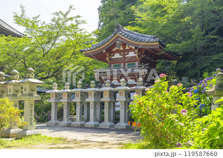 壷坂寺 新緑と天竺門 壷坂寺 新緑と天竺門 119587660