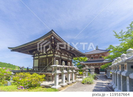 初夏の奈良 壷坂寺 中興堂と慈眼堂 初夏の奈良 壷坂寺 中興堂と慈眼堂 119587664