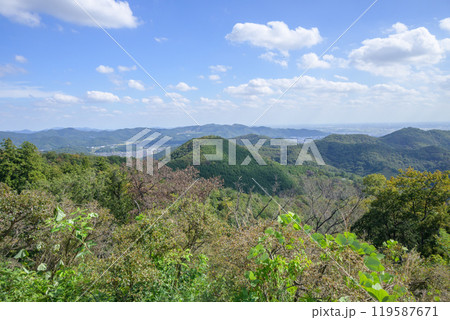大岩山の天空テラス 119587671