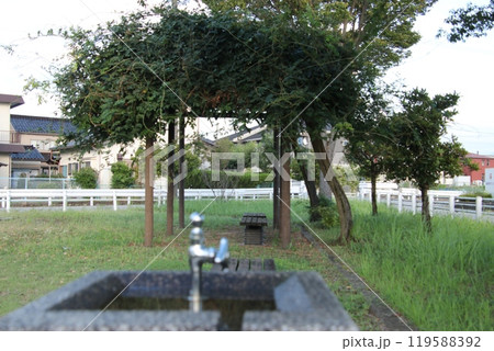 夕暮れの公園と蛇口（9月） 119588392