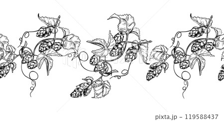 Hop vine, humulus cone black white graphic vector seamless border isolated. Hop cones branch leaves painted engraving in botanical sketch repeated background for design textile, packaging. Hops liana. Hop vine, humulus cone black white graphic vector seamless border isolated. Hop cones branch leaves painted engraving in botanical sketch repeated background for design textile, packaging. Hops liana. 119588437