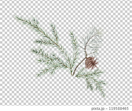 Watercolor Christmas tree branches and pine cone. Hand painted fir needle natural elements illustration on isolated. Freehand drawing of festive needles from spruce, for Christmas and new year Watercolor Christmas tree branches and pine cone. Hand painted fir needle natural elements illustration on isolated. Freehand drawing of festive needles from spruce, for Christmas and new year 119588465