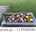 花のある庭、手花水 119588486
