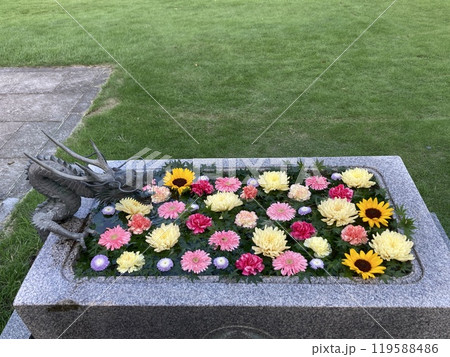 花のある庭、手花水 119588486