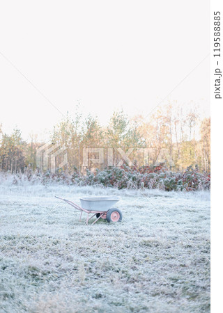 farmland, meadows and trees in autumn with golden brown leaves on the trees. scenic image of picturesque rural nature in countryside in autumn farmland, meadows and trees in autumn with golden brown leaves on the trees. scenic image of picturesque rural nature in countryside in autumn 119588885