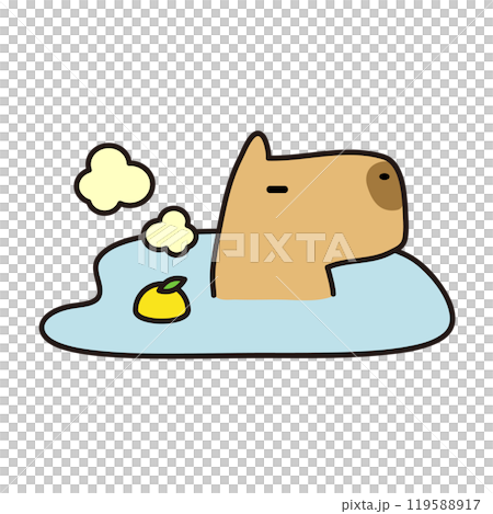 Capybara immersed in Yuzu hot water 119588917