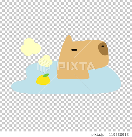 Capybara沉浸在柚子熱水中 119588918