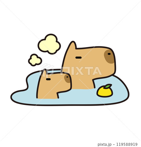 ゆず湯に浸かるカピバラの親子 119588919