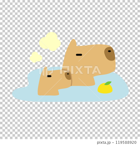 水豚一家和孩子泡在柚子浴中 119588920