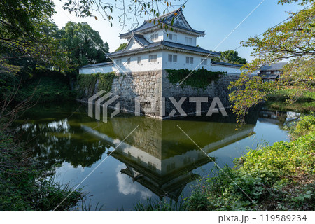 水口城と堀 119589234