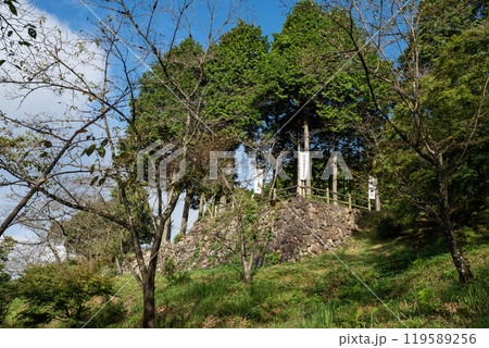 金山城の出丸跡 金山城の出丸跡 119589256