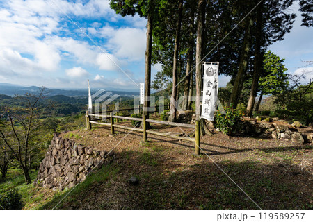 金山城の出丸跡からの眺め 金山城の出丸跡からの眺め 119589257