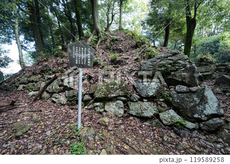 金山城の石垣 119589258