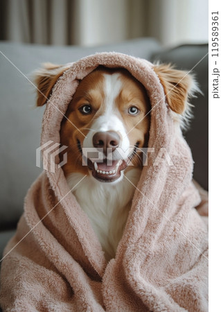 Happy dog wrapped in a cozy pink towel sitting on a couch in a bright living room 119589361