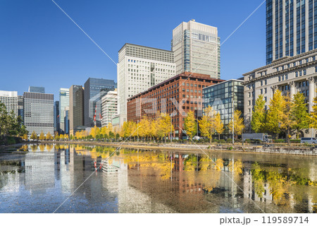 秋の東京都市風景　水面に映る丸の内のオフィスビル群と日比谷通りのイチョウ並木【東京都・千代田区】 119589714