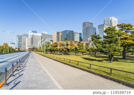 秋の東京都市風景 皇居外苑から見る丸の内のオフィスビル群【東京都・千代田区】 秋の東京都市風景 皇居外苑から見る丸の内のオフィスビル群【東京都・千代田区】 119589719