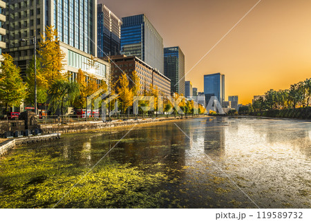 秋の東京都市夕景　日比谷通りのイチョウ並木と高層ビル群【東京都・千代田区】 119589732