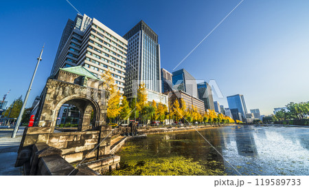 秋の東京都市風景　日比谷通りのイチョウ並木と高層ビル群【東京都・千代田区】 119589733