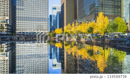 秋の東京都市風景　水面に映る日比谷通りのイチョウ並木と高層ビル群【東京都・千代田区】 119589736