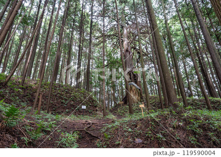 小宮城の土塁 119590004
