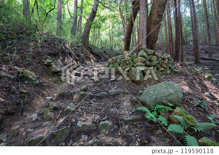 要害山城の石垣 119590118