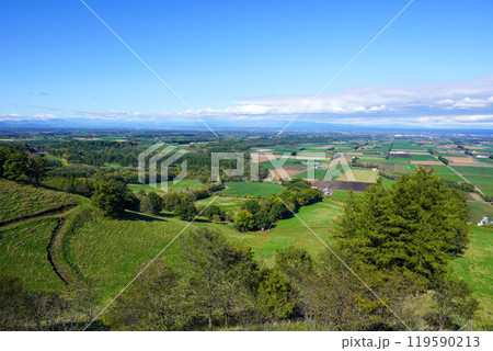 新嵐山スカイパーク展望台の秋(2024) 新嵐山スカイパーク展望台の秋(2024) 119590213