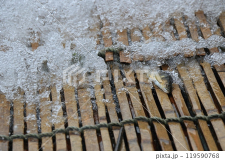 天然鮎のやな漁　伝統漁法　栃木県の観光 119590768