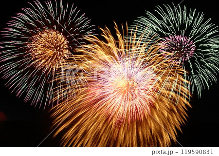 夏の夜空を染める 119590831