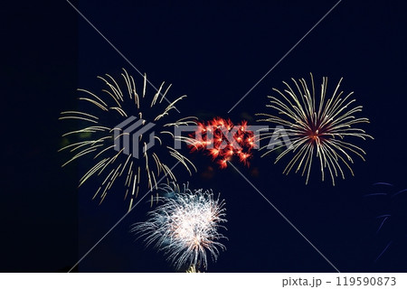 夏の夜空を染める 119590873