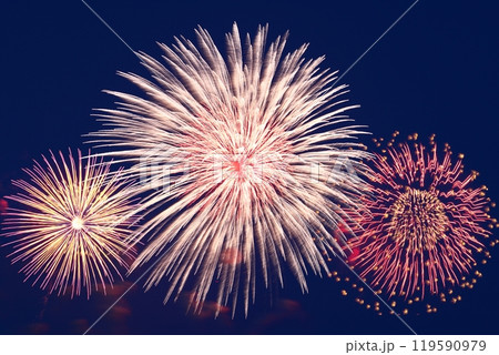 夏の夜空を染める 119590979