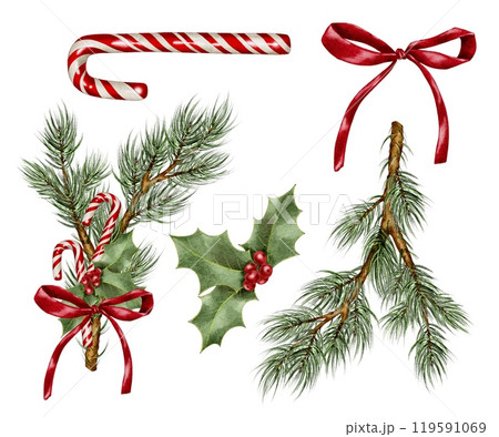 Christmas sugar cane and holly with red bow ribbon on spruce branch Watercolor composition set on white. Hand drawn illustration for New Year and winter holidays designs in realistic style. 119591069
