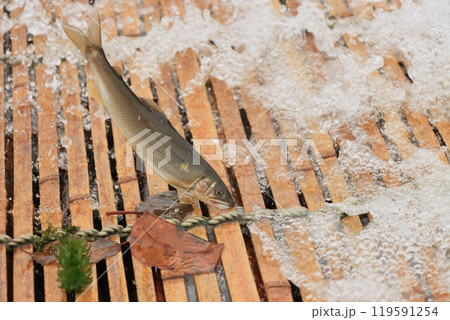 那珂川の観光やな　天然アユのやな漁　鮎の伝統漁法 119591254