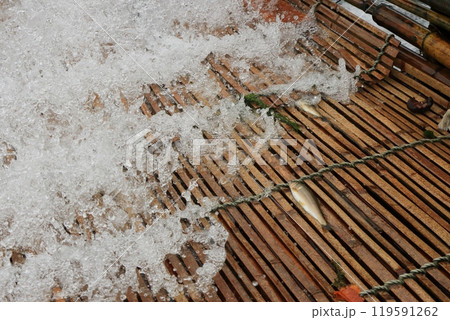 那珂川の観光やな　天然アユのやな漁　鮎の伝統漁法 119591262