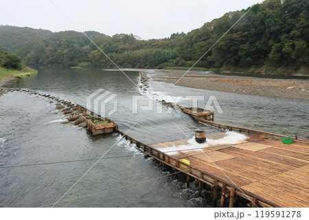 那珂川の観光やな　天然アユのやな漁　鮎の伝統漁法 119591278